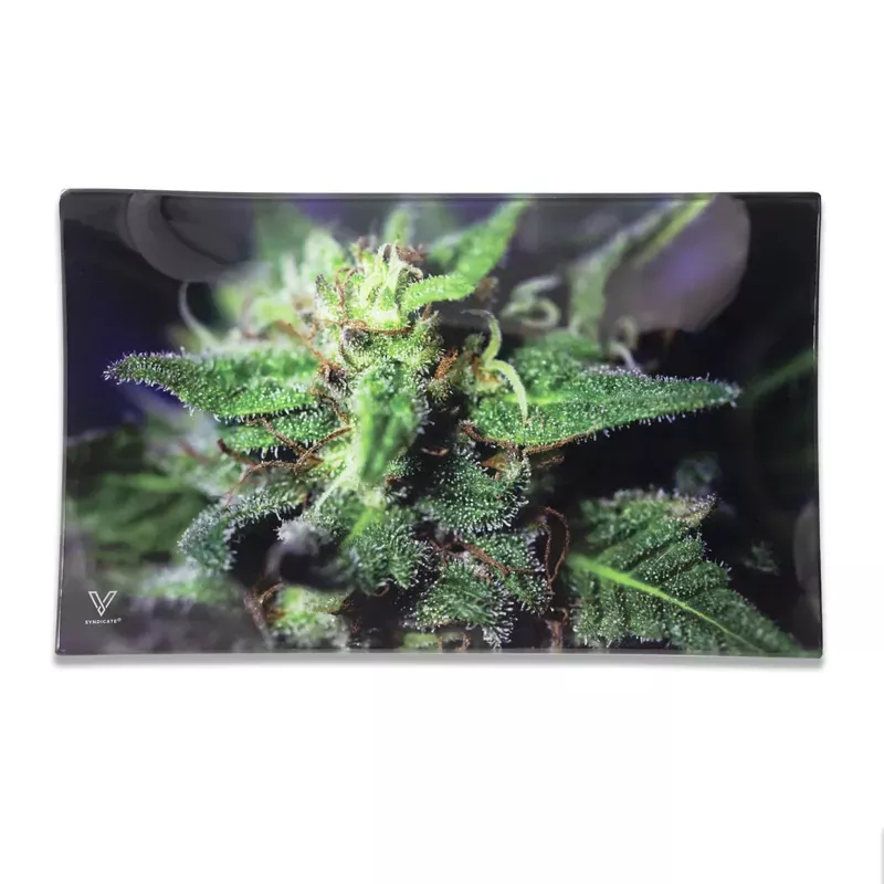 V Syndicate Glass Rolling Tray | Blue Dream